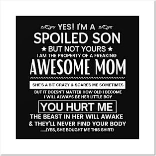 Awesome Mom Posters and Art